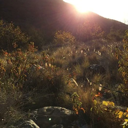 sdrvc's tweet image. Enjoy the River Park. Take many photos. Mention @sdrvc and hashtag #sdrvc. One thousand thanks!