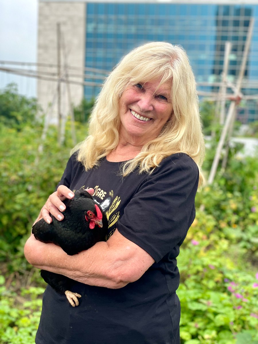 d_akkers's tweet photo. Proud to be a #rooftopfarmer ! On the #DakAkker #rooftopfarm on an officebuilding downtown #Rotterdam 🥕🥒🌶🍅🌱. 📷 Esther Prinsze 🍃. https://t.co/wEmC1MrcVH