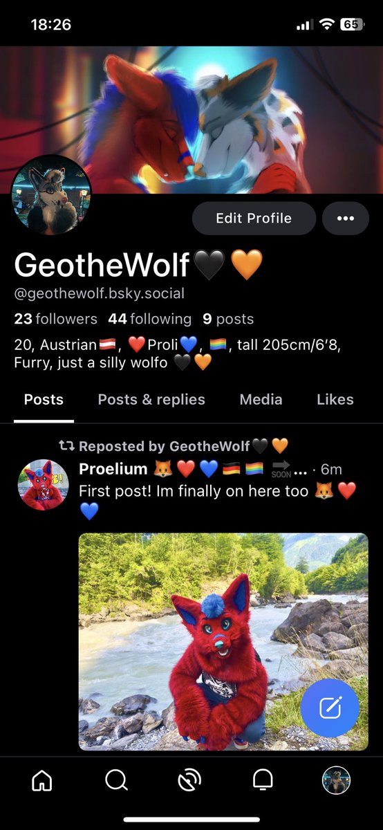GeotheWolf🖤🧡🐺🇩🇪🇦🇹 tweet media