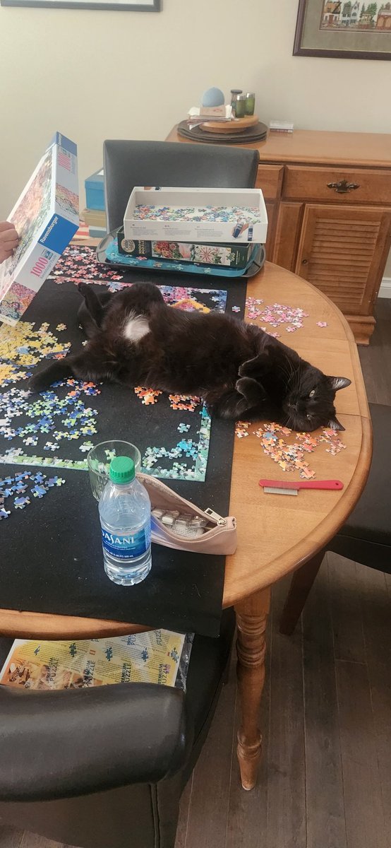 JoyLaird6's tweet photo. Why puzzles are so difficult at my house. https://t.co/Jy9nmJDncD