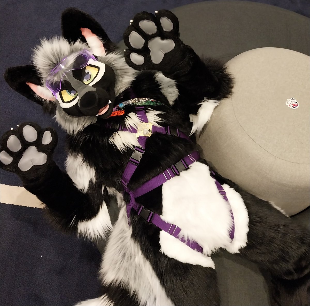 🌿Fern🌿 tweet media