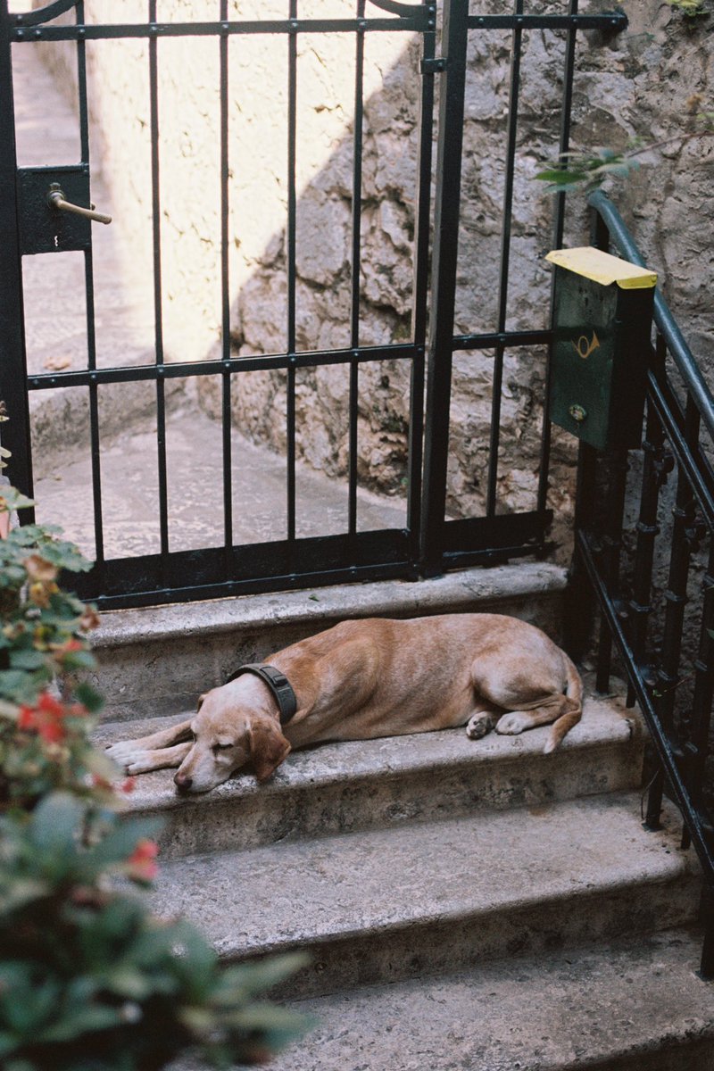 Ashley Baxter tweet media