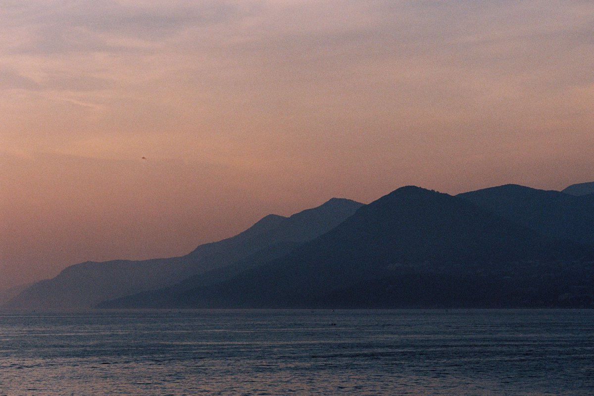 Ashley Baxter tweet media