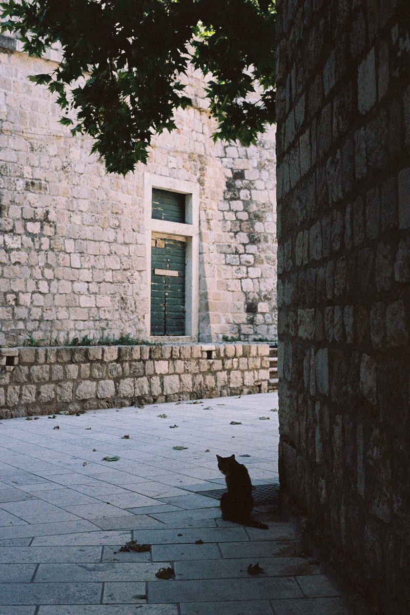 Ashley Baxter tweet media