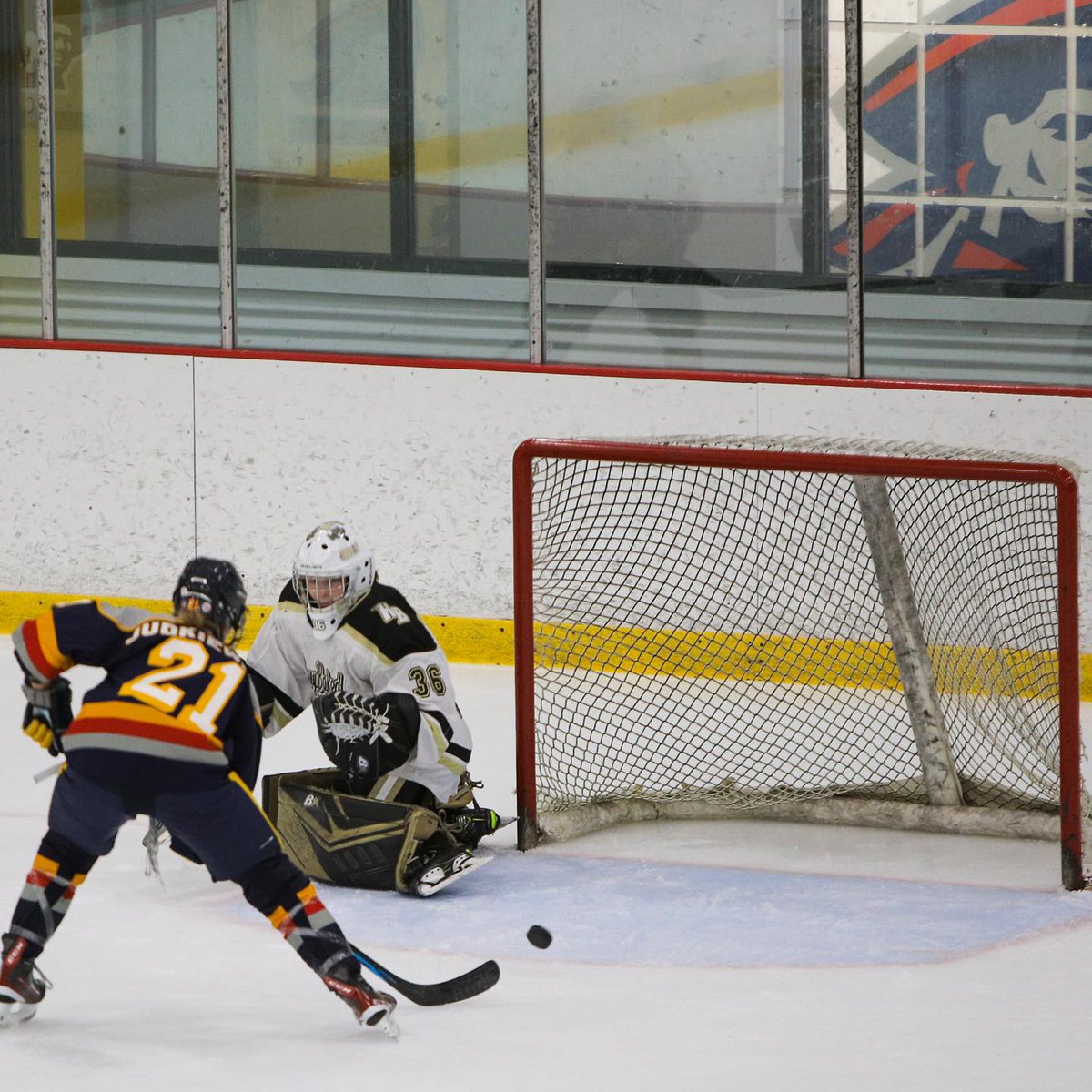 Barrie Jr. Sharks tweet media