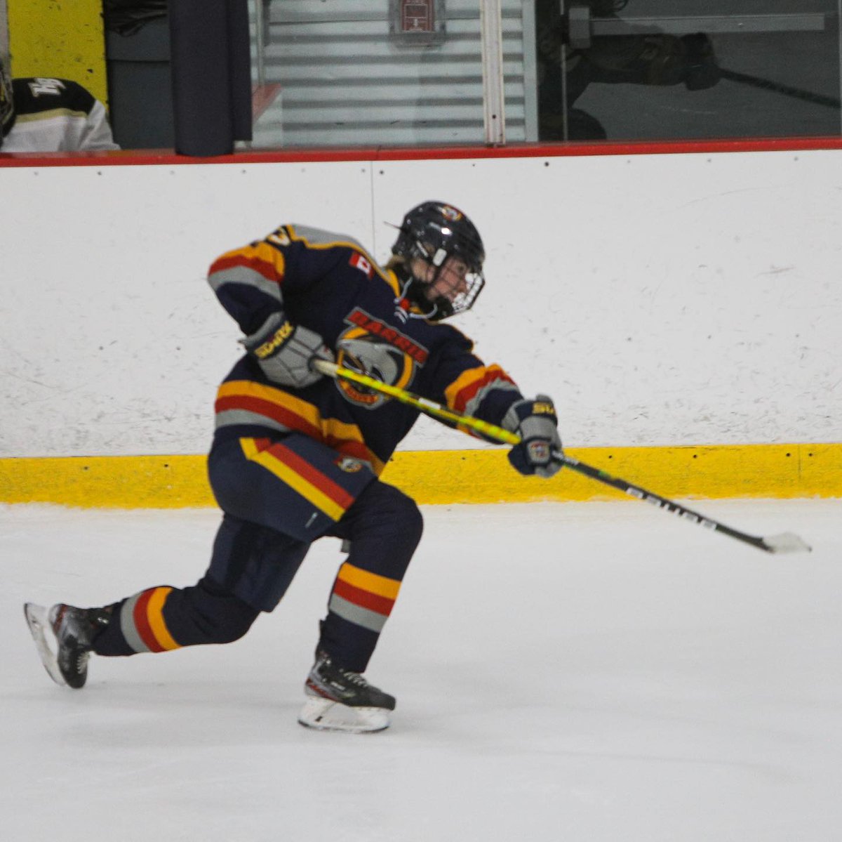 Barrie Jr. Sharks tweet media