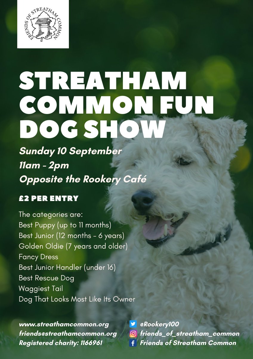 Just one week to go till the best dog show of the year. This Sunday 10th September, the fabulous #streatham common fun dog show is back. Just a week left to get your dog's groom and outfit sorted, tail wagging, and looking just like you.