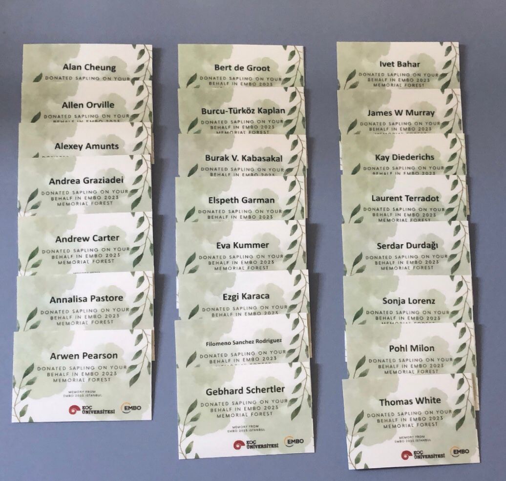 KUYBIIGSTM's tweet photo. We are ready for the EMBO Lecture Course in Istanbul "Structural Biophysics of Biomolecular Complexes"🚀 #EMBObiomolComplexes  Guest speakers and participants are coming from all around the world🌎! Details are coming soon! @EMBO @kocuniversity @Tubitak @KocSciences @metin_sitti https://t.co/OsCnhUfnZM