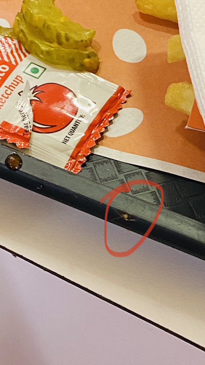 rajput21693's tweet photo. @BurgerKing cockroach found in the meal ordered

Attached photos https://t.co/ZDG9d7Ay1L