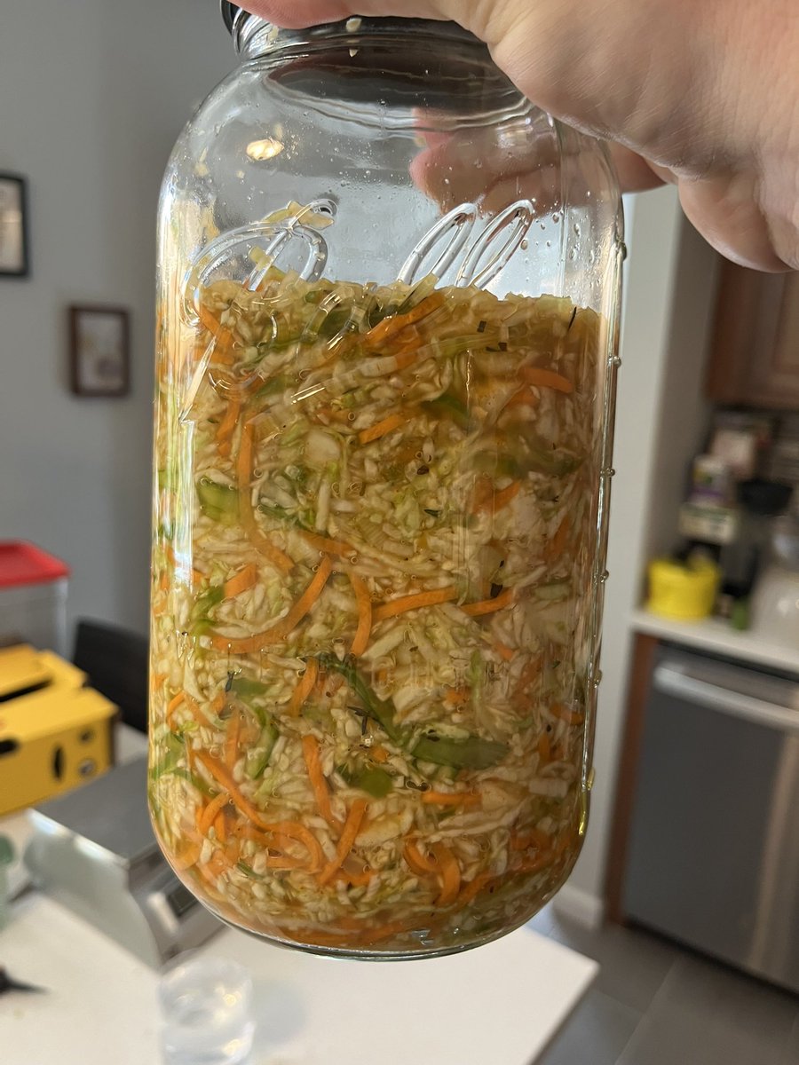 ok here we go, lads. cajun kraut. cabbage with carrot, celery, green peppers, garlic, fresh thyme, and a bunch of tony chachere seasoning. watch this space in 3 weeks
