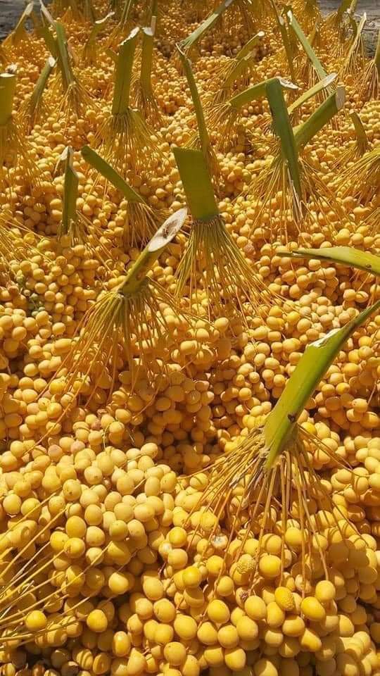 Apostlebriank's tweet image. Many doors will open for you this coming week.God already said yes 👍