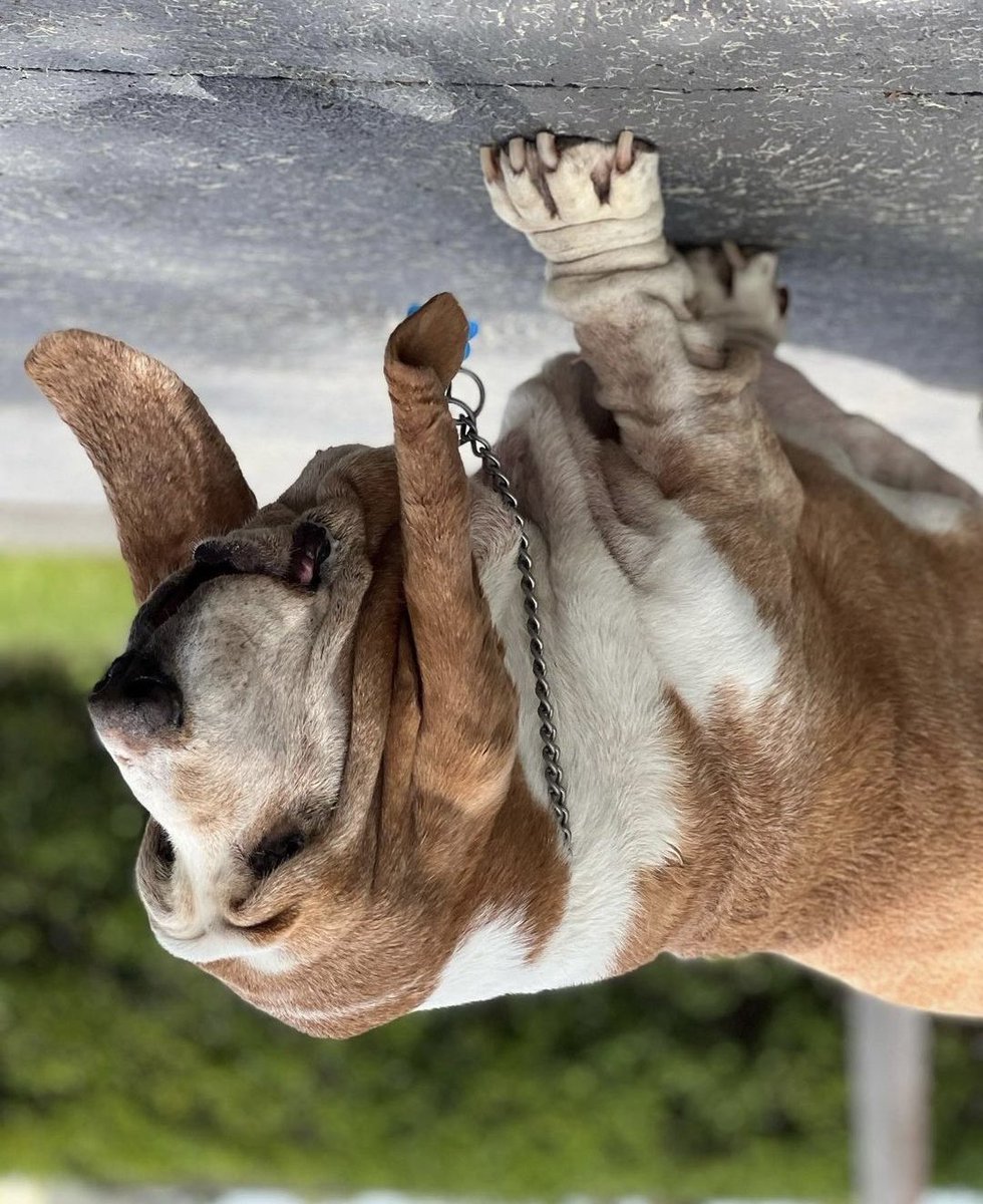 Q҉͕͈̩͔̳̌͒͐́A̴͖̲̟̎́̓̑T̷͖͔̎̌̽̓̍Ē̴̦̲̥̈̉X̴̗̟̭̎̂̌ (@imqatex) on Twitter photo 