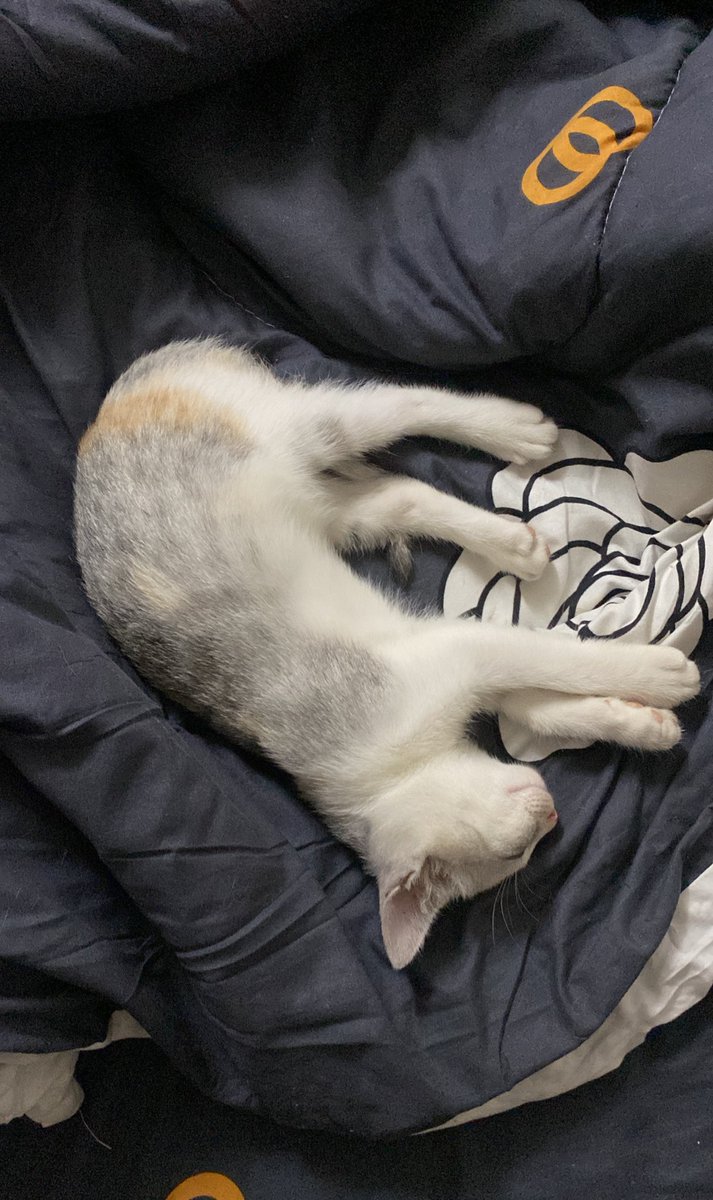 اغماء جماعي 🤍🤍