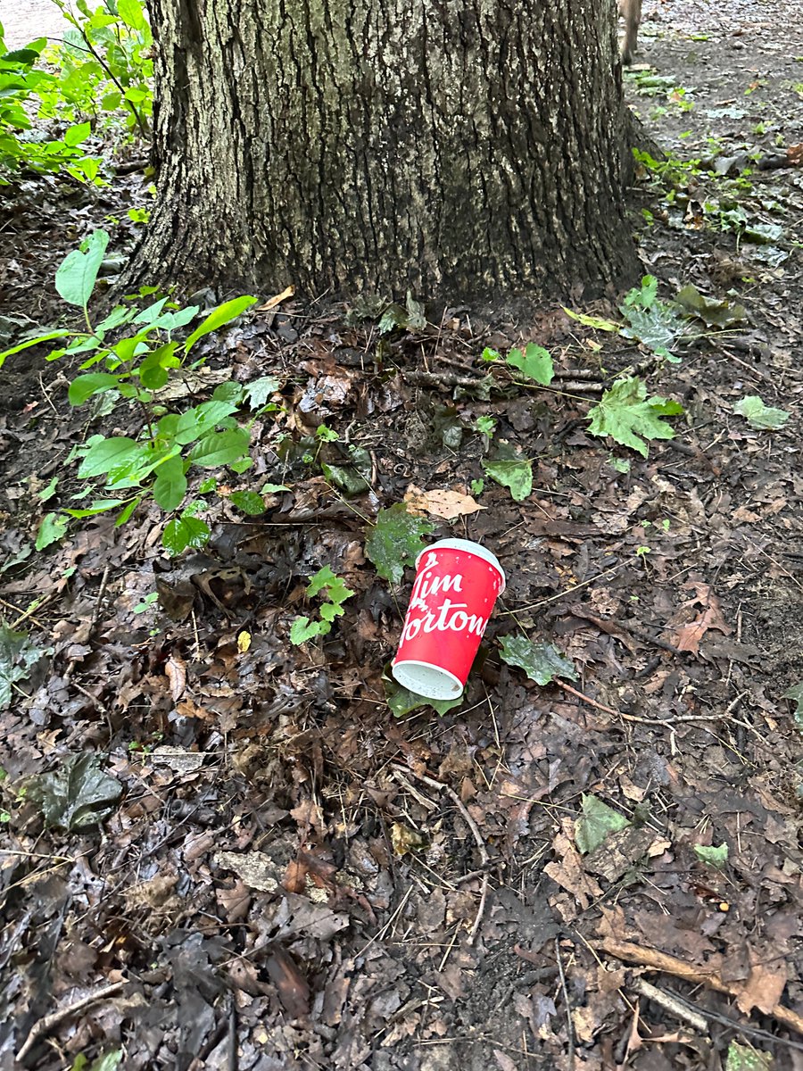 Please Do Not Litter in the Park. 
Use the garbage, recycling, and compost bins when disposing of your items. Or remember to take it home with you. 

Let's keep the #HighPark clean for ALL park visitors!

#HighPark #NOLitter #takeithome #KeepHighParkClean #trash