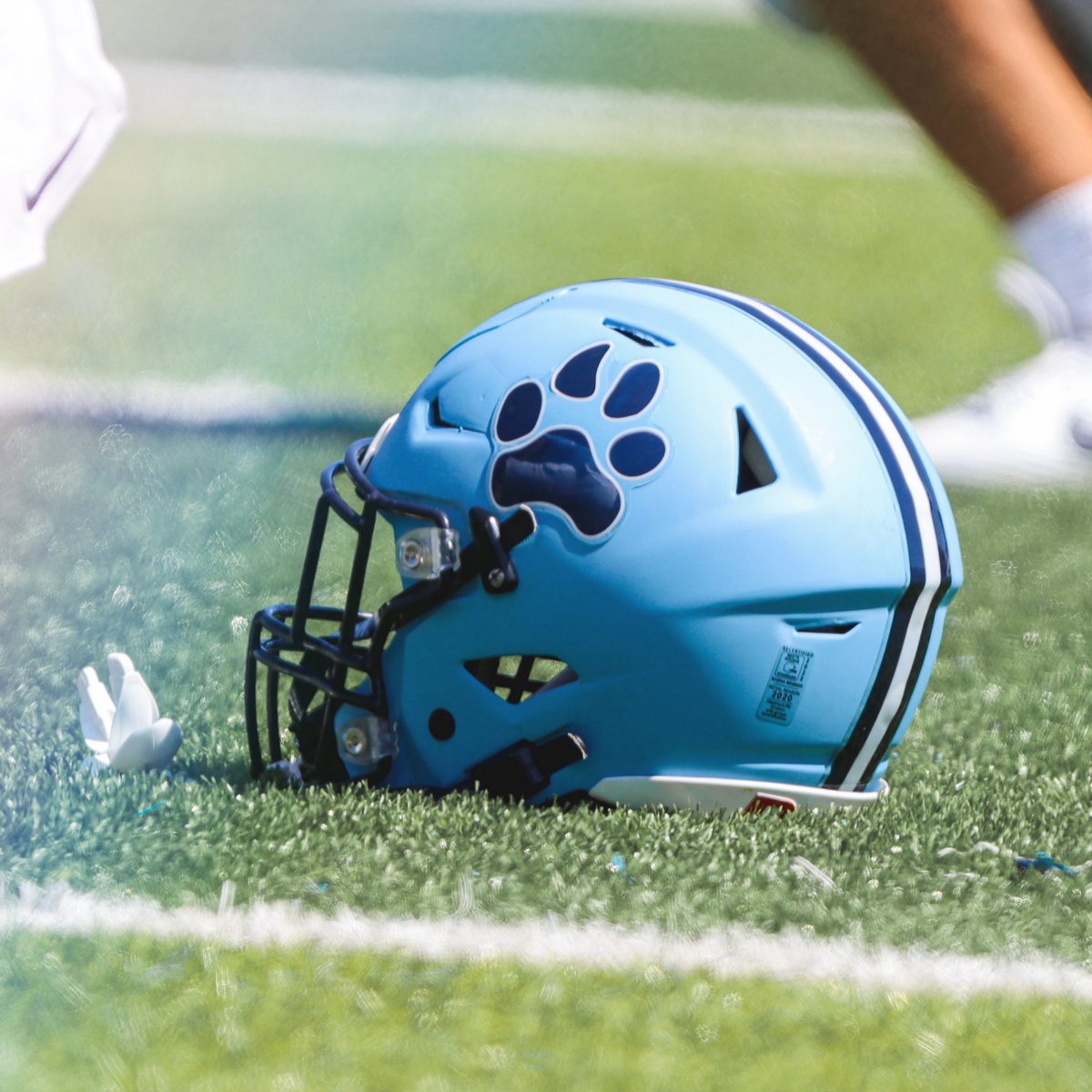 🪓 Week

#LetItRip #PaintItBlue #RollTimbys🐺