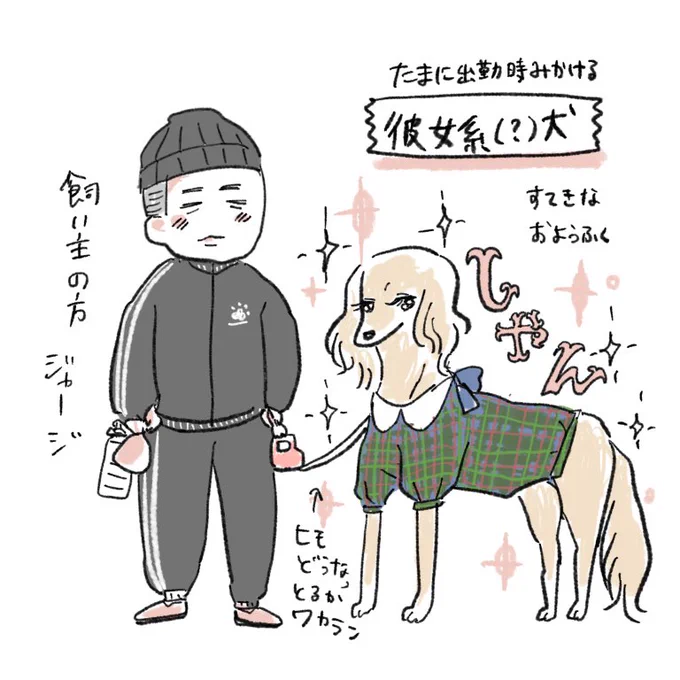 犬系彼女はよくわからんけどたまに出勤時に吉田羊みたいなめちゃくちゃ美人な犬さま連れた方見る あの彼女系犬(?)見かけたら本当にウワァーーー✨✨ってなる 暑くて散歩時間ズレてるのか最近お見かけできず寂しい