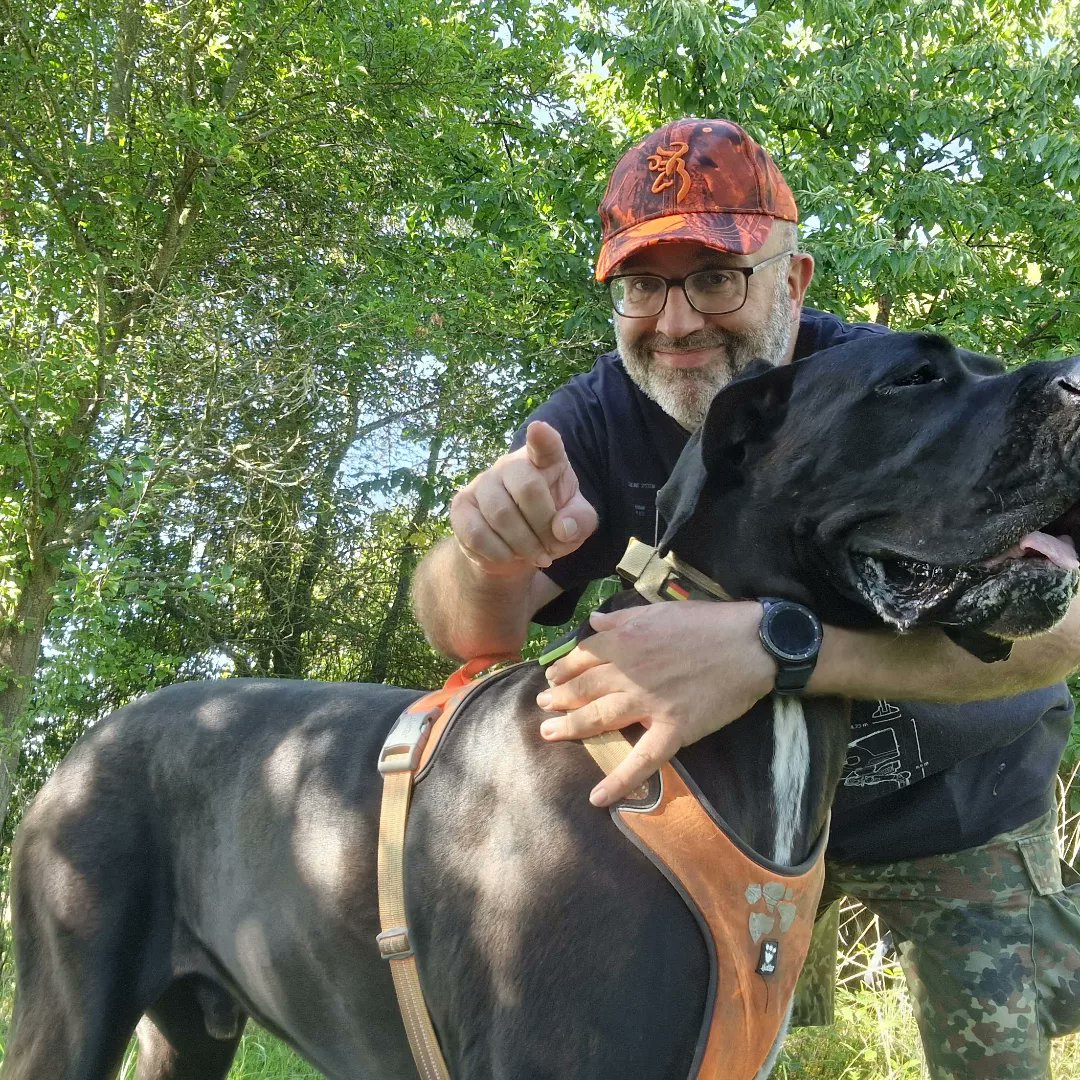 MatthiasH20512h's tweet image. #greatdanes #deutschedogge #huge #big #phantastic #great #hund