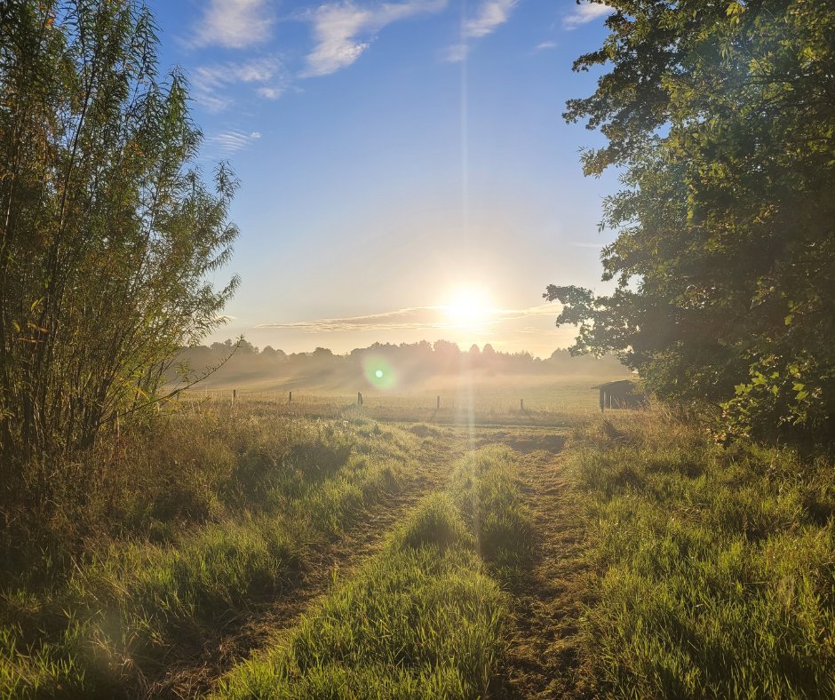 BCA_Maidenhead's tweet image. Our beautiful College awaits you!

Don&apos;t forget to check your timetable from enrolment to ensure a smooth start and know where you&apos;re headed.
Sign in at: bit.ly/3o6j4lf

#BackToCollege #StartDate #CollegeStudents