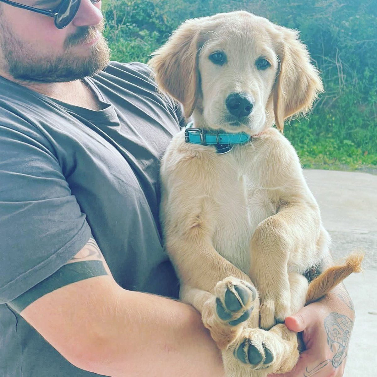 One of our cutest customers 🐾😍