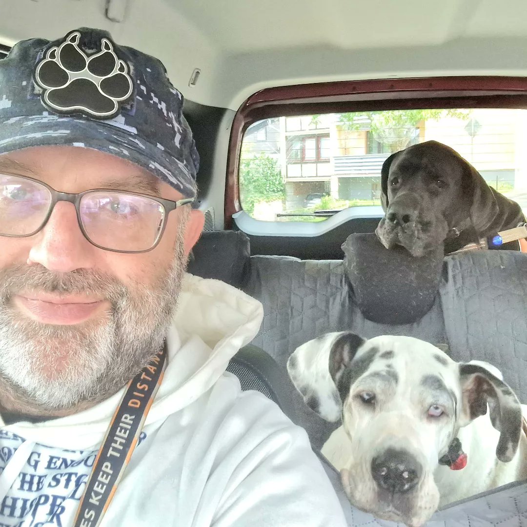 MatthiasH20512h's tweet image. #greatdanes #deutschedogge #huge #big #phantastic #great #hund