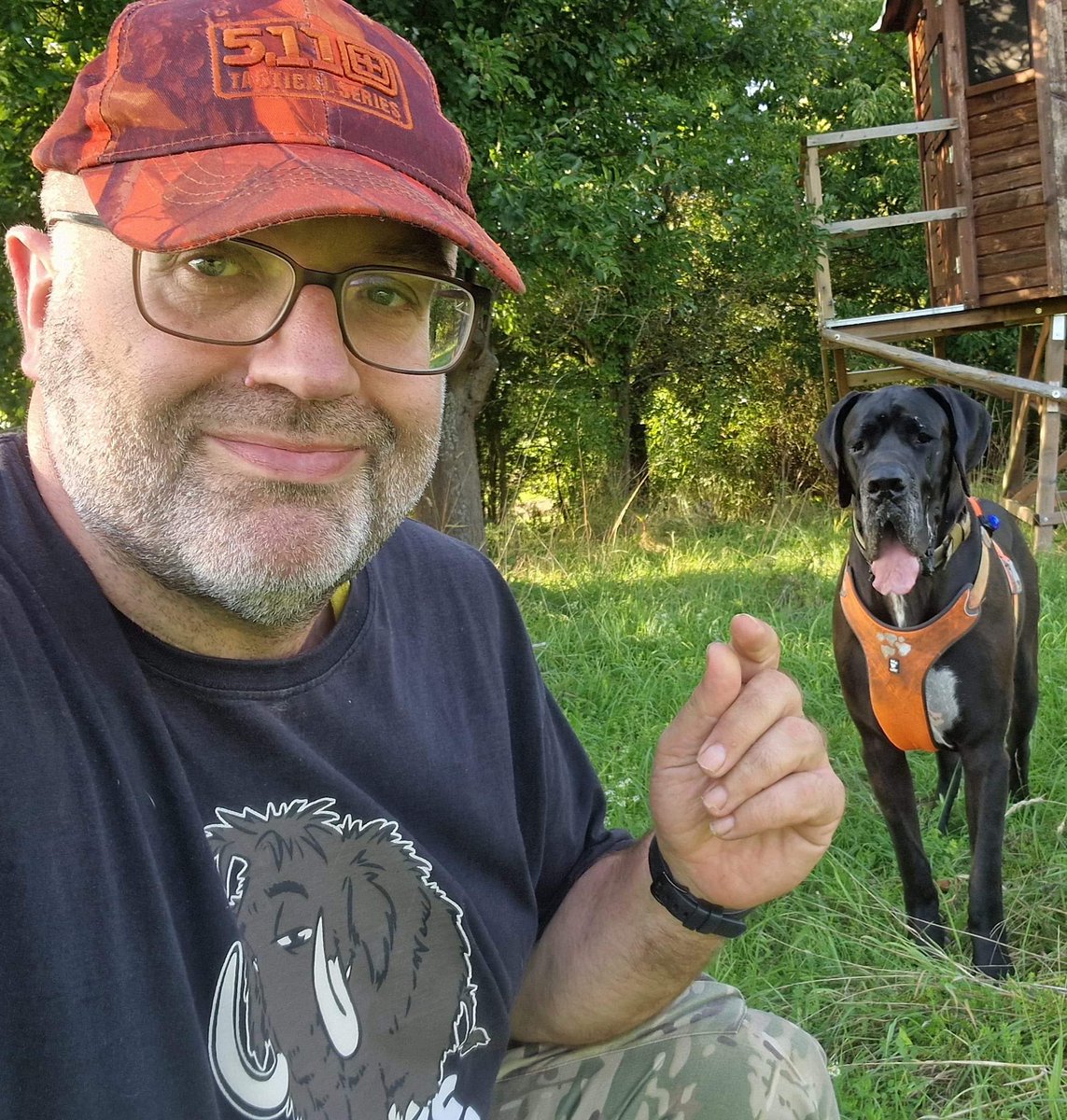 MatthiasH20512h's tweet image. #greatdanes #deutschedogge #huge #big #phantastic #great #hund #outdoor #adventure