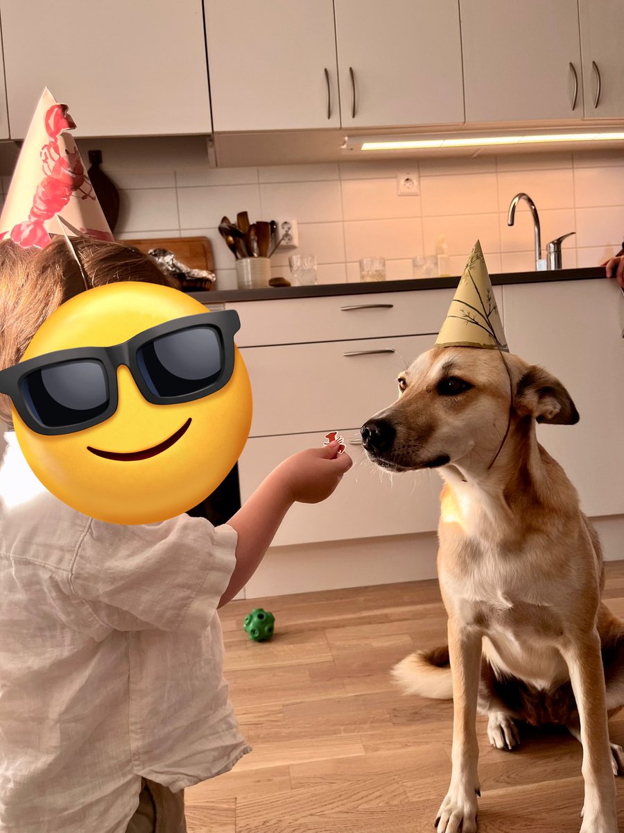 Sambons systerson och vår hund på kräftskiva igår. Älskar ihjäl mig 🥹🥹🥹