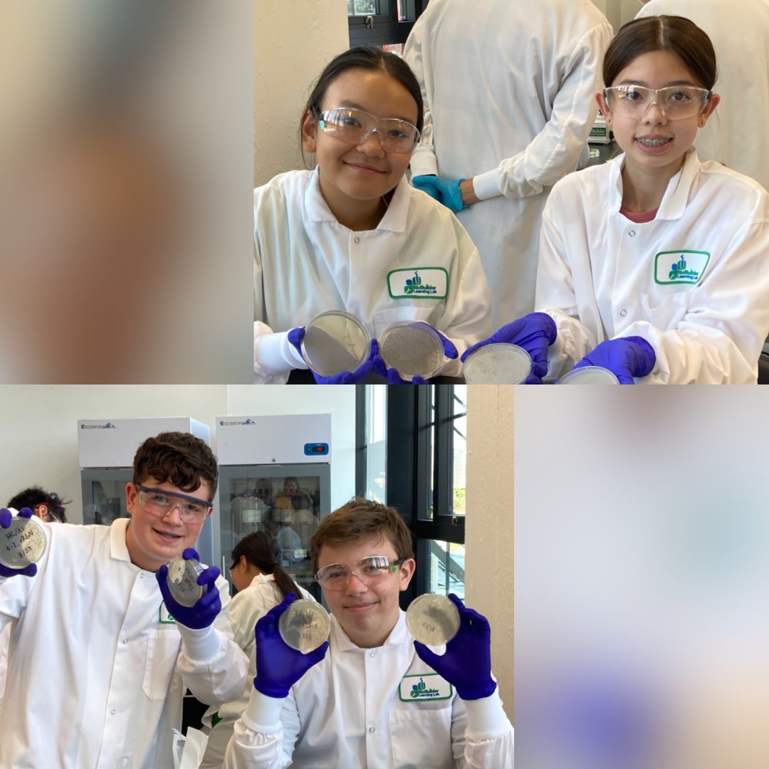 SystemsSally's tweet photo. Middle School students are successfully transforming DNA into bacteria, or at least our Middle School students are at our program at Whitehead Institute for Biomedical Research! #buildingthefuture #bioengineering #whybiobuilder #DNArocks https://t.co/KvyqeIn9A2