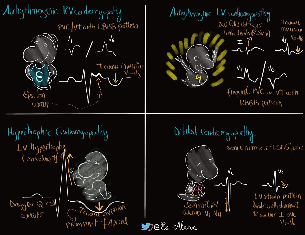 Edgardo Alania tweet media