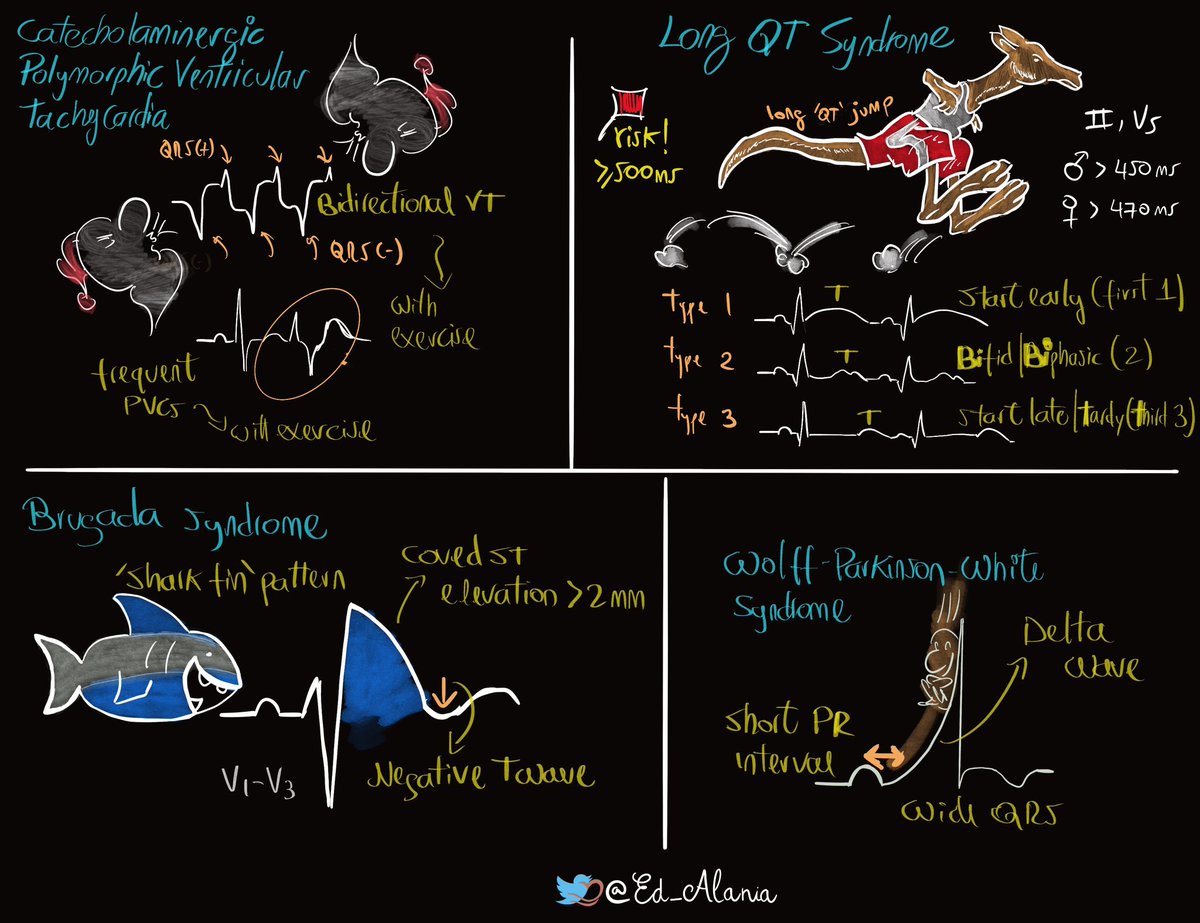 Edgardo Alania tweet media