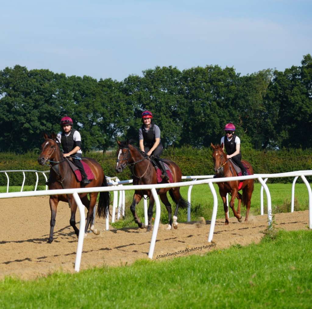 Nice morning @EboracumRacing for the Craig Lidster Racing Club with a great turnout by club members to watch the horses out on the gallops and a look around the yard What to part of this fantastic club contact Dan @CLRacingClub for more information @C_LidsterRacing