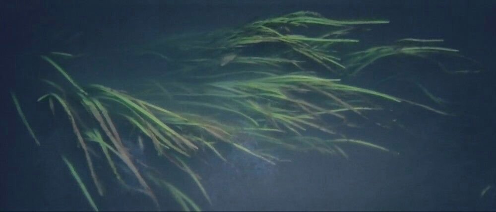 阿部 宏之 (@asysteminc) on Twitter photo 