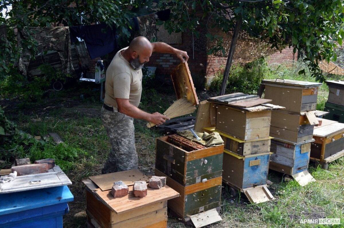 Near Bakhmut, 600,000 Ukrainian combat bees serve dutifully. An improvised apiary was set up just 2 kilometers from the front line, and the bees regularly fly on missions beyond it. Serhii, a paramedic and radio operator at the medical station, assembled hives from ammunition