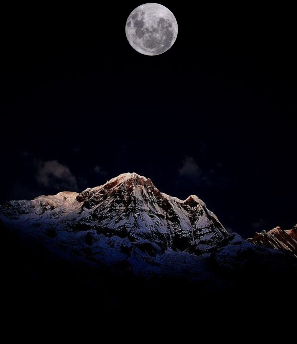 🌜moonlight🌛 tweet media