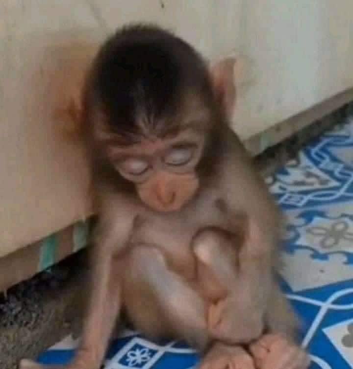 yo burlándome de mi mamá pq no sabe usar Netflix / yo haciendo un trámite