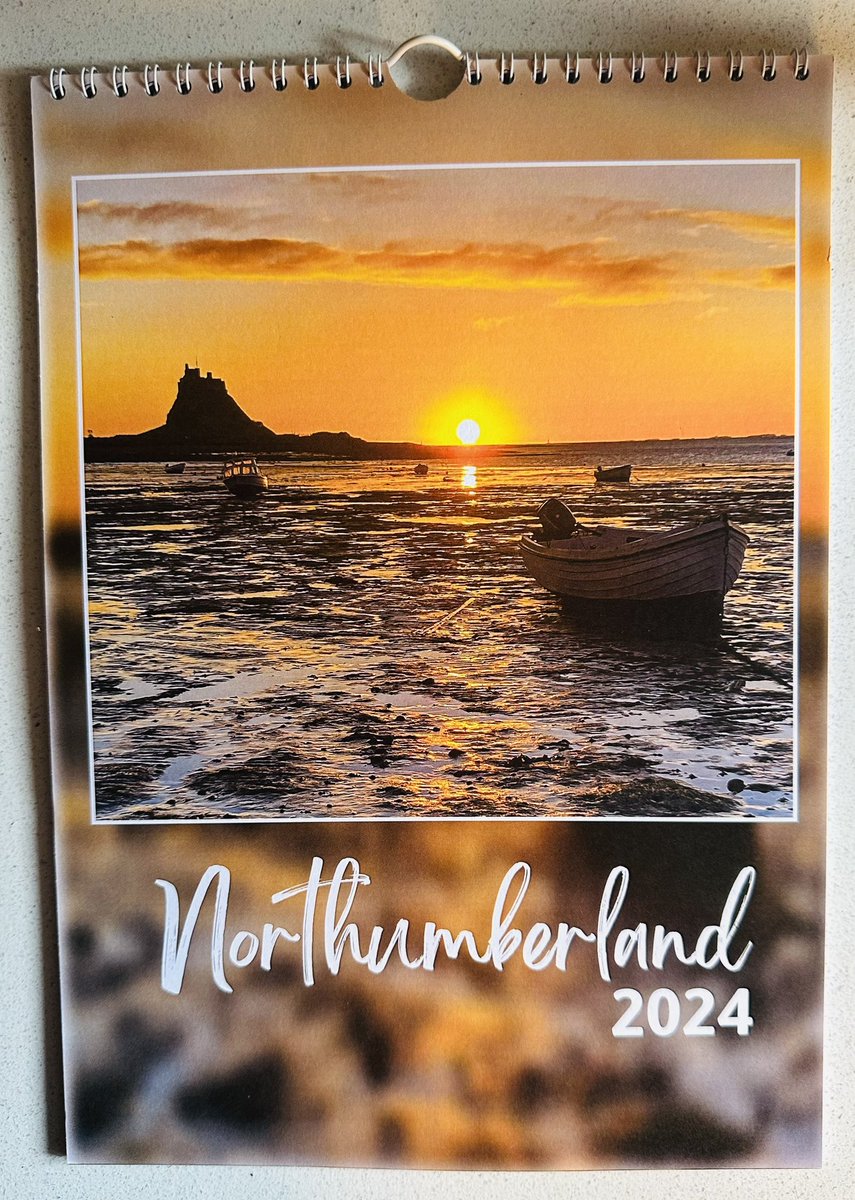 Liz Mead tweet media