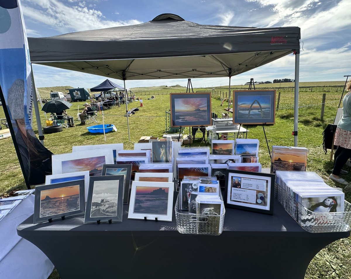 Liz Mead tweet media