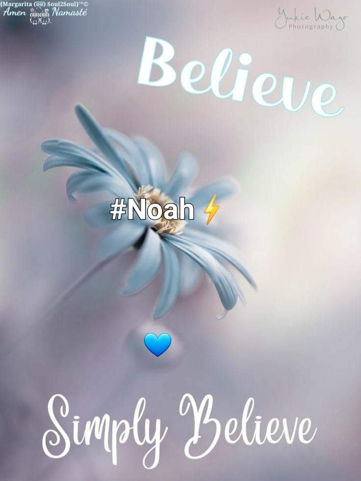 mcilveen_kate's tweet photo. #Week166
#RememberMyNoah
#NoahsArmy
Justice ⚖️ needs to be seen to be done for Noah Donohoe NOW 💙 https://t.co/2FzhTZzysA