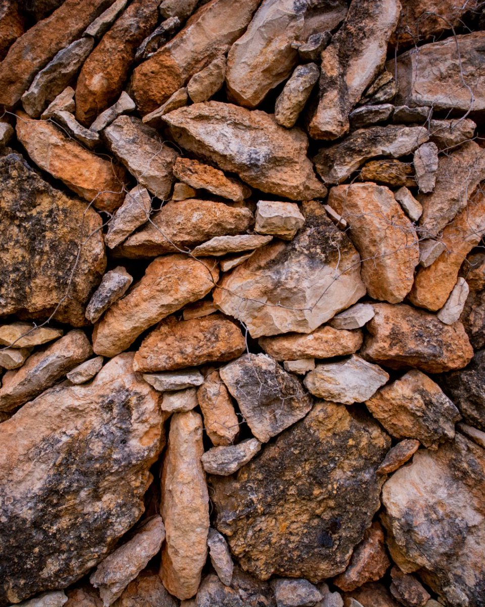 Fundación Bosc de la Marquesa tweet media