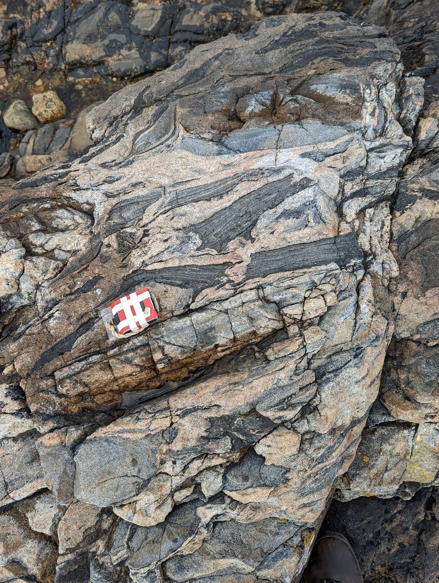 PeterLBowden1's tweet photo. #Migmatite heaven. South East of Fraserbugh. https://t.co/m8PgN0Nk8U