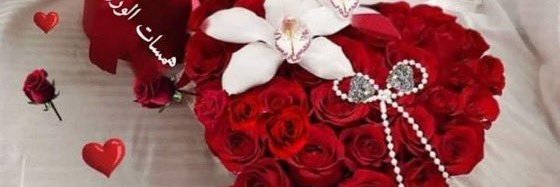 إن جمال الروح هو الشيء الوحيد الذي لا يستطيع الزمن أن ينال منه 

اما الجسد الجميل يتعفن اذا غادرته الروح*مسائكم فل وياسمين**
#ارسنال_مانشستر_يونايتد
#ميتروفيتش_والا_كرستيانو
#صفقات_الشباب_ياوزاره
#اشبيليه