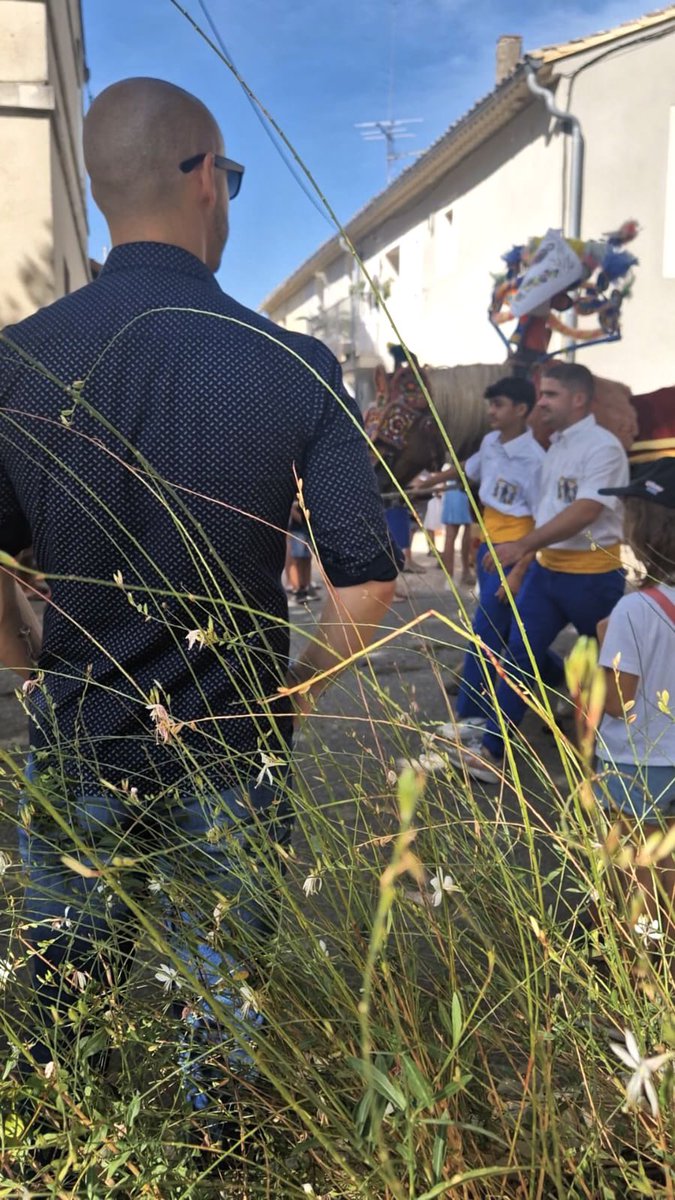 BaubryR's tweet image. Matinée au beau défilé de la charrette de La Confrérie de Saint-Roch des Paluds-de-Noves. 

Aux côtés de Fabien Bono, le président, nous avons célébré nos belles traditions. 🎉 

🌐romainbaubry.fr

 #SaintRoch #PaludsdeNoves #Noves #circo1315