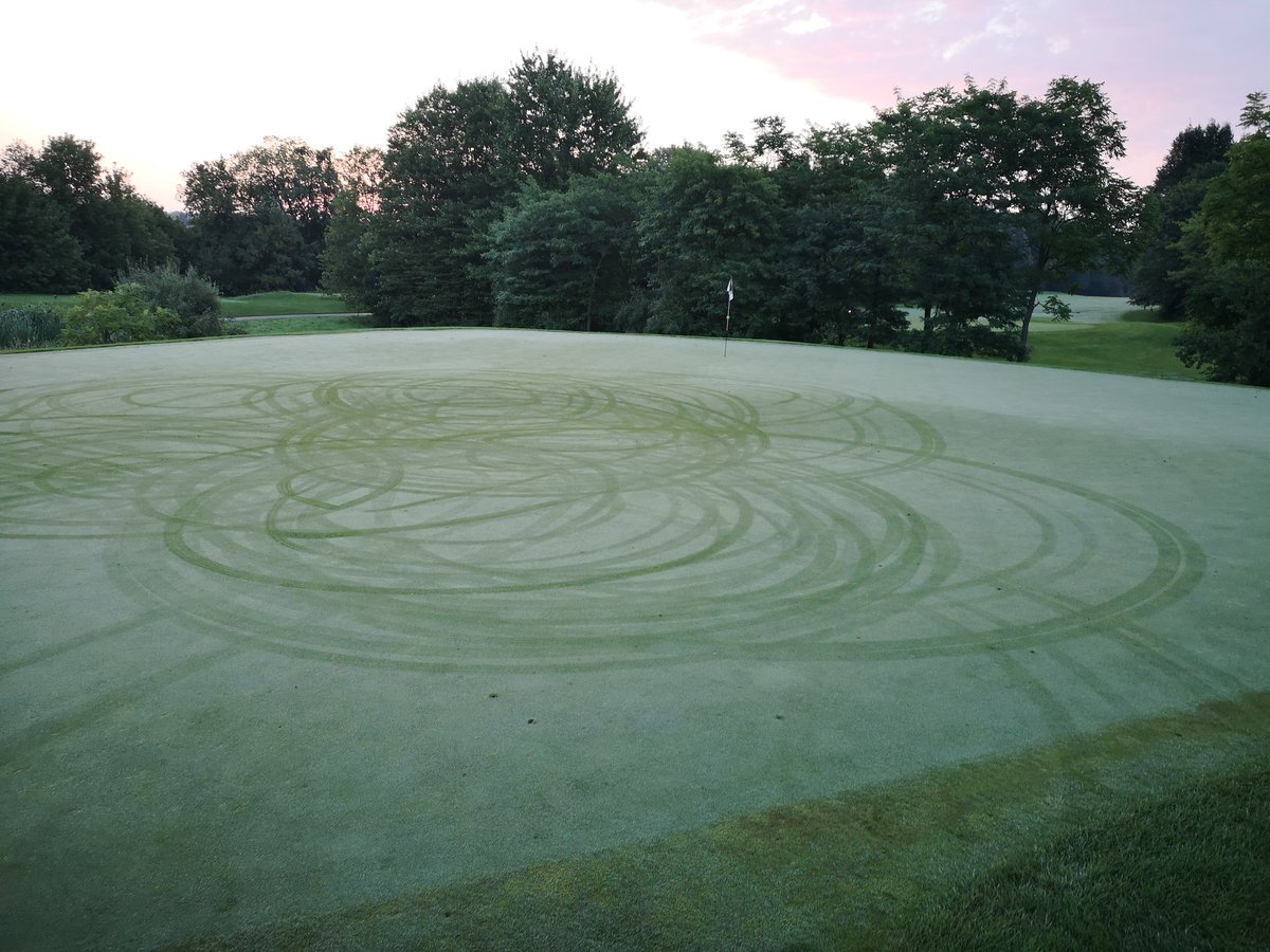 Luke Paddle tweet media