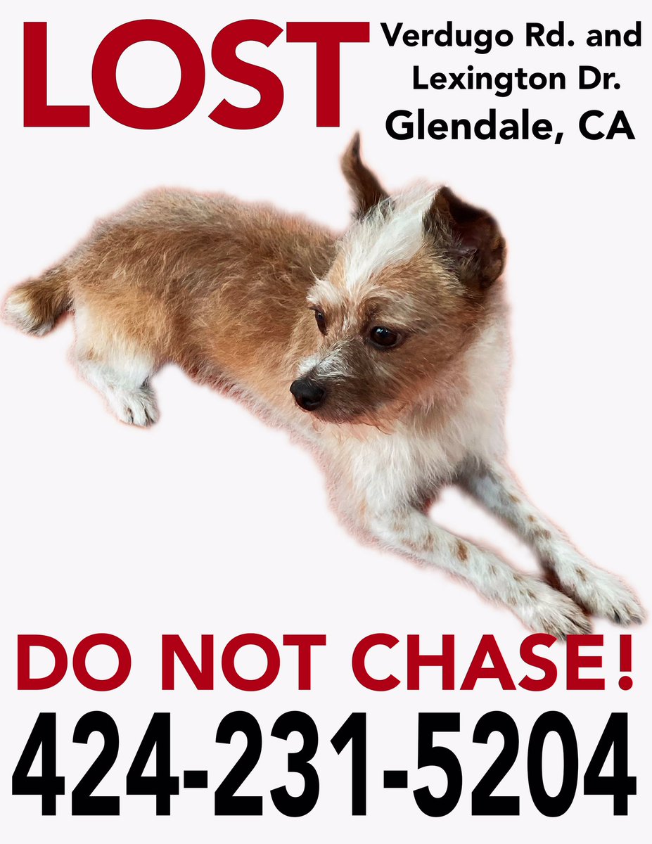 Rob Schrab tweet media