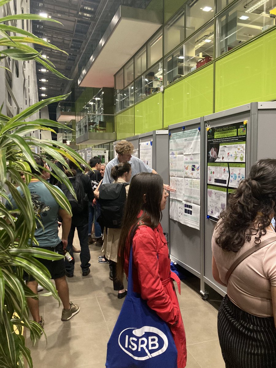 International Society for Regenerative Biology tweet media