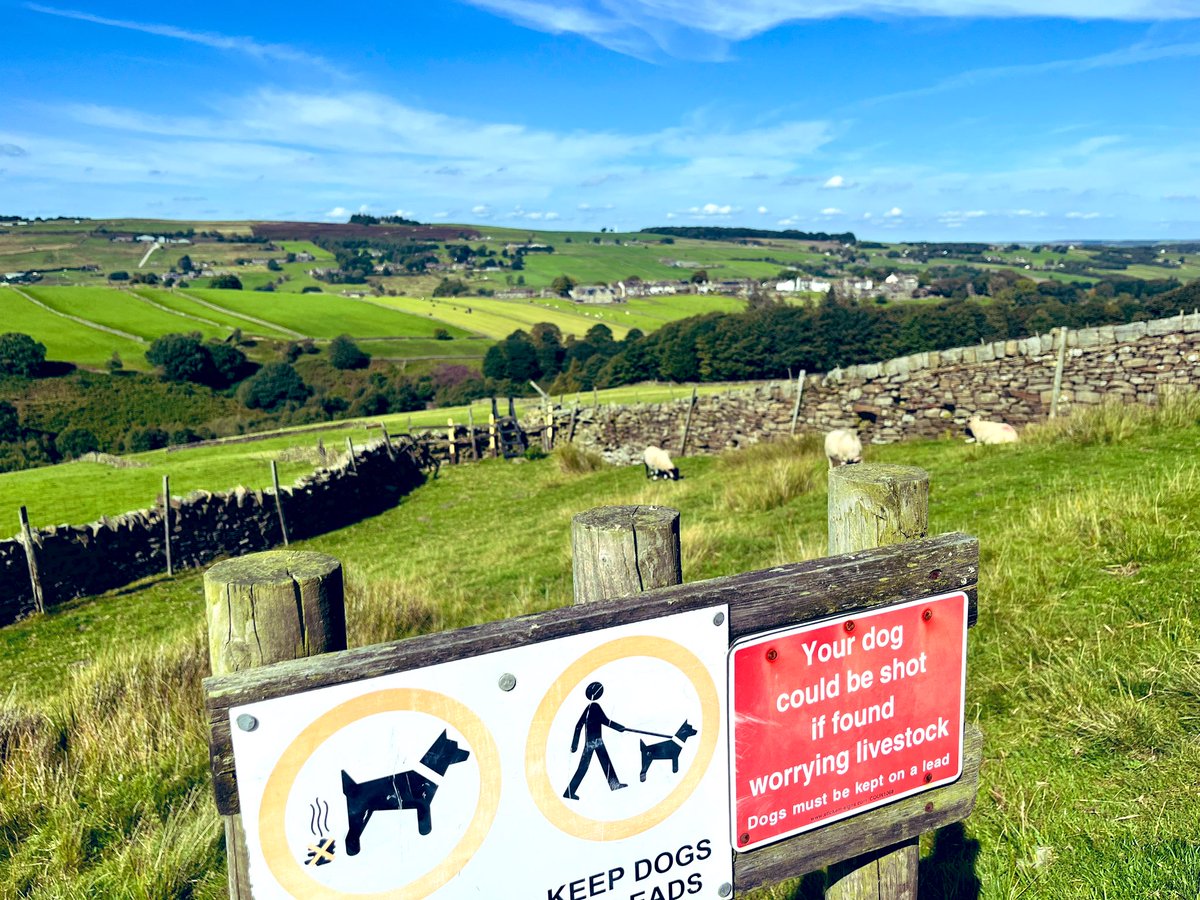 ArchiebyNature's tweet image. So dogs 🐕 be warned! You could be shot.🔫🤭

#Howarth 🚶🏻‍♀️