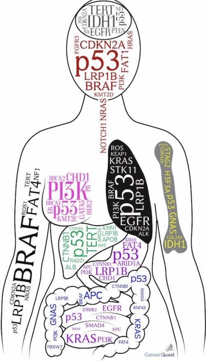 Tumor markers from cancer quest