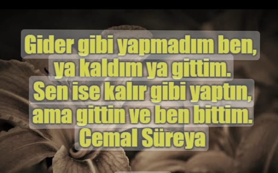 CayilleSoppet's tweet photo. 3 ağustos
3 eylül https://t.co/tJQSQwM6Qk