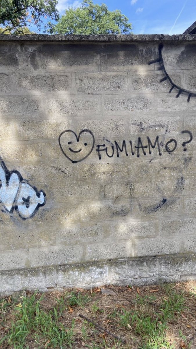 non puoi dirmi di no