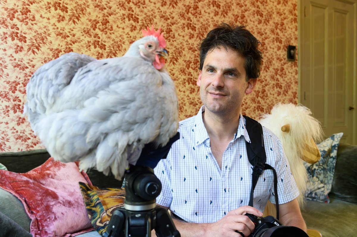 Hooglandse Kamer in Leiden tweet media