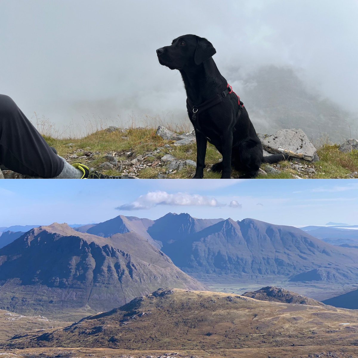 Jane Evans tweet media